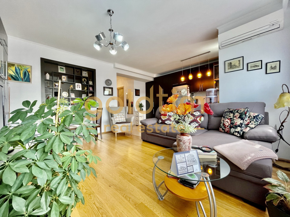 MOBILAT SI UTILAT/ GATA DE MUTAT/ PRIVELISTE