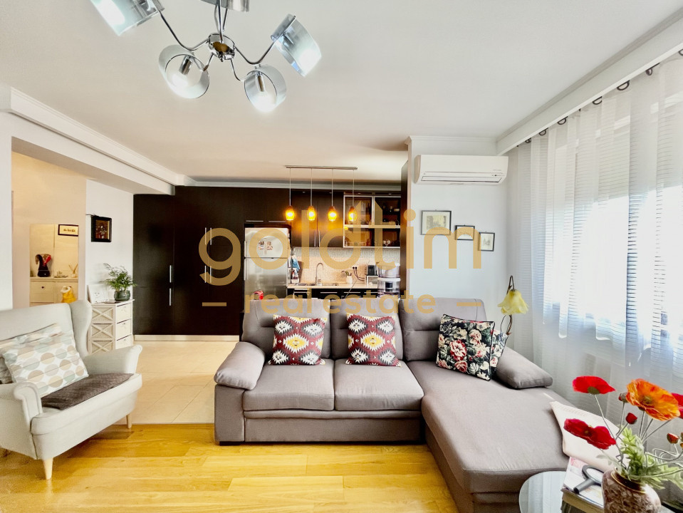 MOBILAT SI UTILAT/ GATA DE MUTAT/ PRIVELISTE