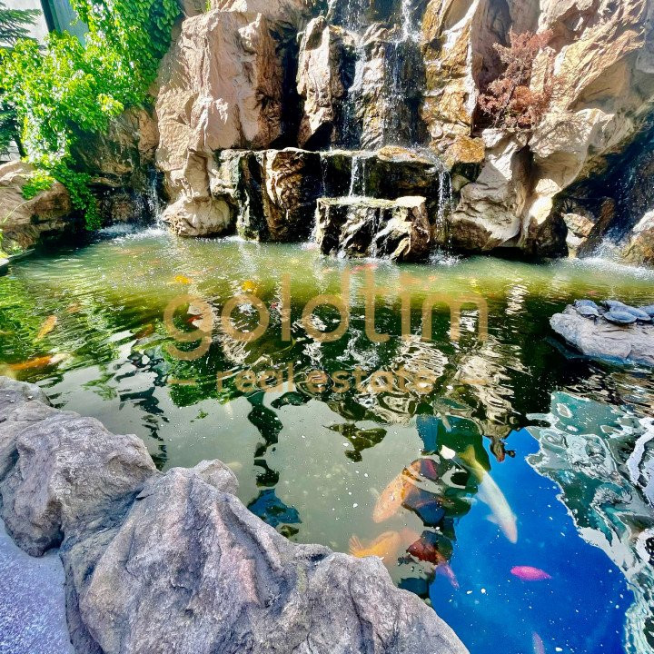 SPATII GENEROASE/PRIVELISTE/HERASTRAU