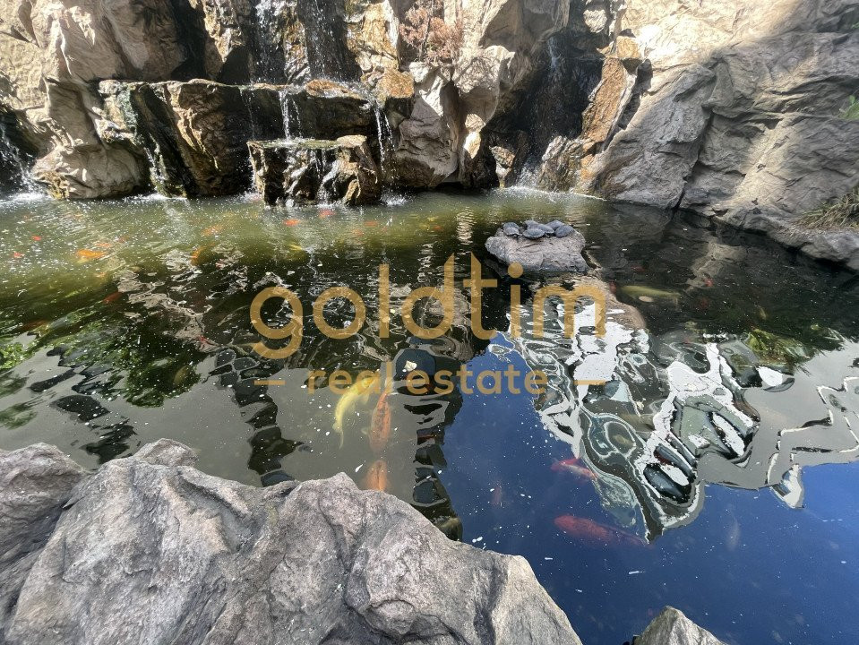 SPATII GENEROASE/PRIVELISTE/HERASTRAU