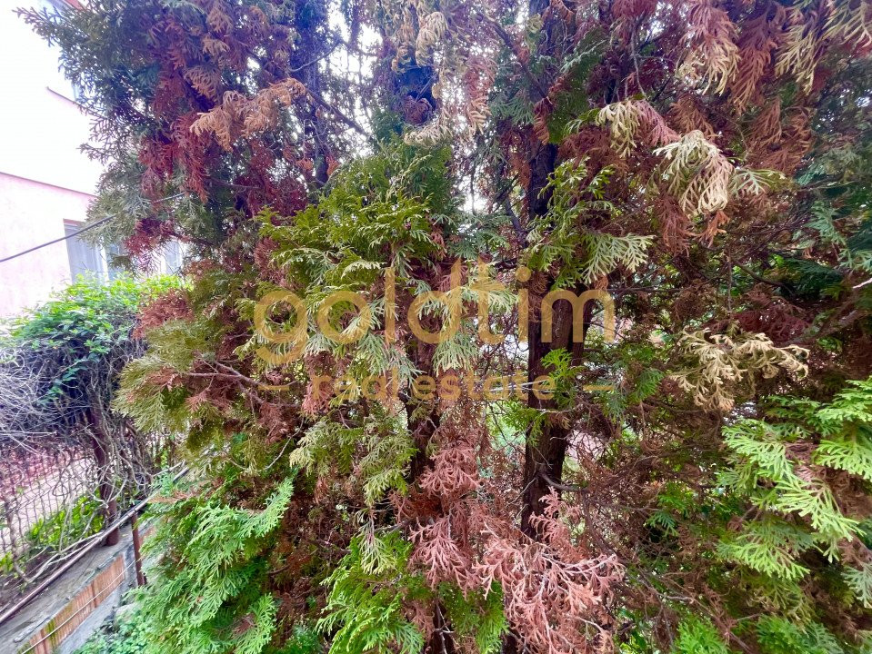 VILA INDIVIDUALA/PRETABIL REZIDENTIAL/BIROURI/ AFTER SCHOOL