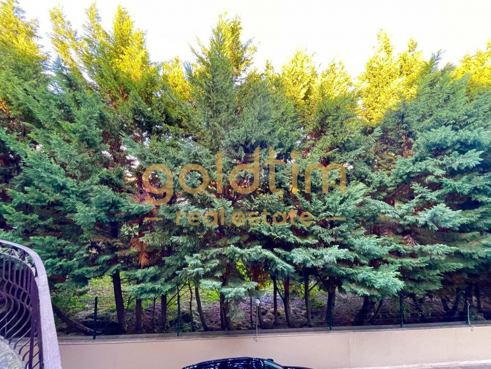 SUPRAFETE GENEROASE/IANCU NICOLAE/CRAMA