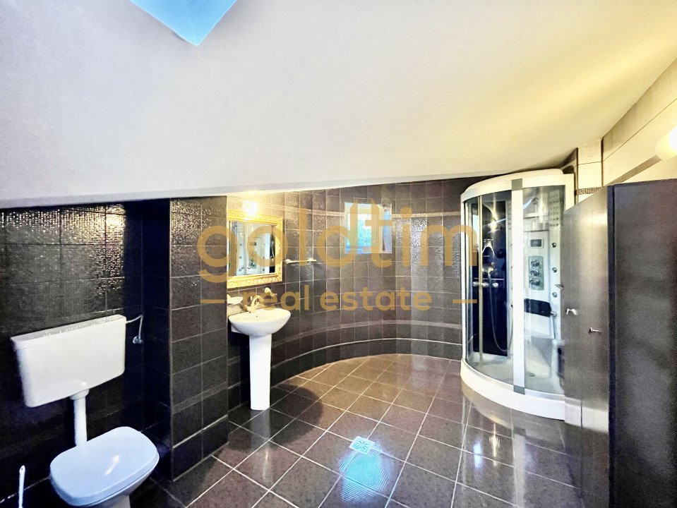 SUPRAFETE GENEROASE/IANCU NICOLAE/CRAMA