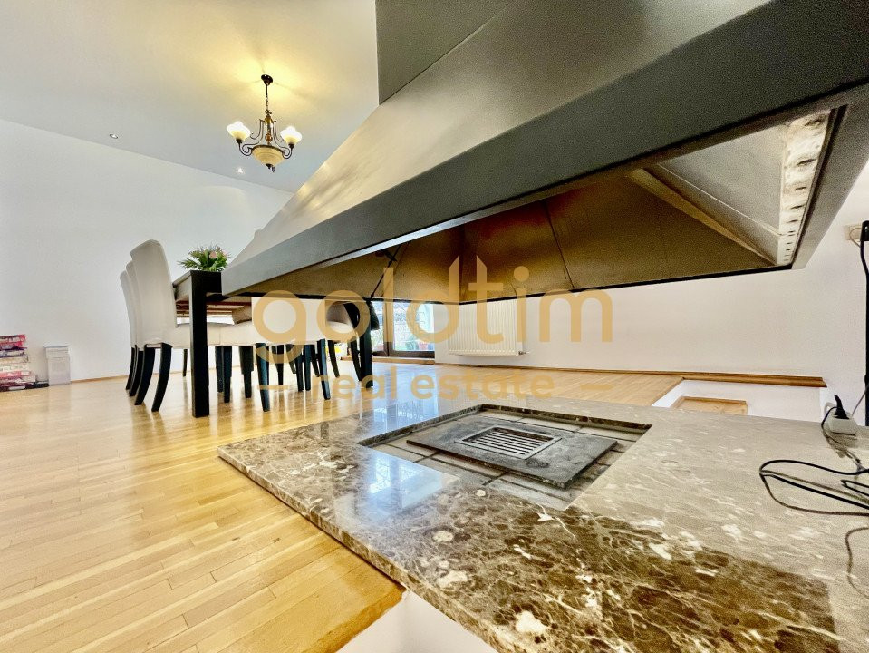 VILA INDIVIDUALA/ PISCINA/ GARAJ/ SPATII DEPOZITARE/ IANCU NICOLAE