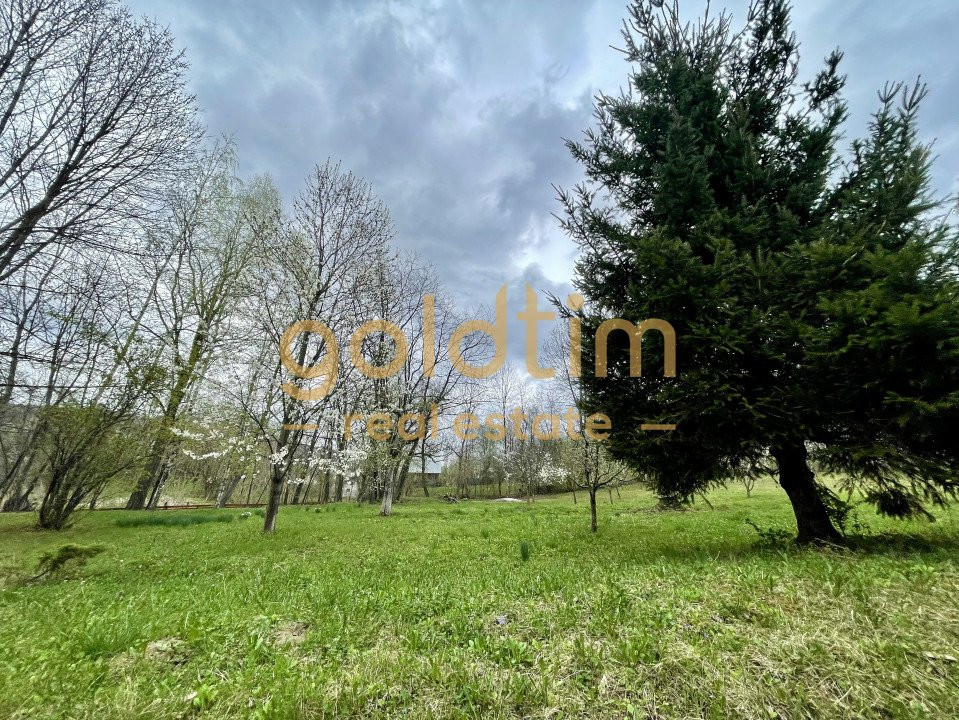 PARADIS/ VILA LA MUNTE/CERASU/ 1.30 min de BUCURESTI/ IDEAL INVESTITIE/ BOOKING