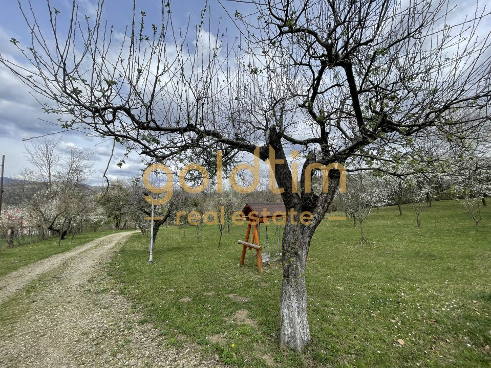 PARADIS/ VILA LA MUNTE/CERASU/ 1.30 min de BUCURESTI/ IDEAL INVESTITIE/ BOOKING