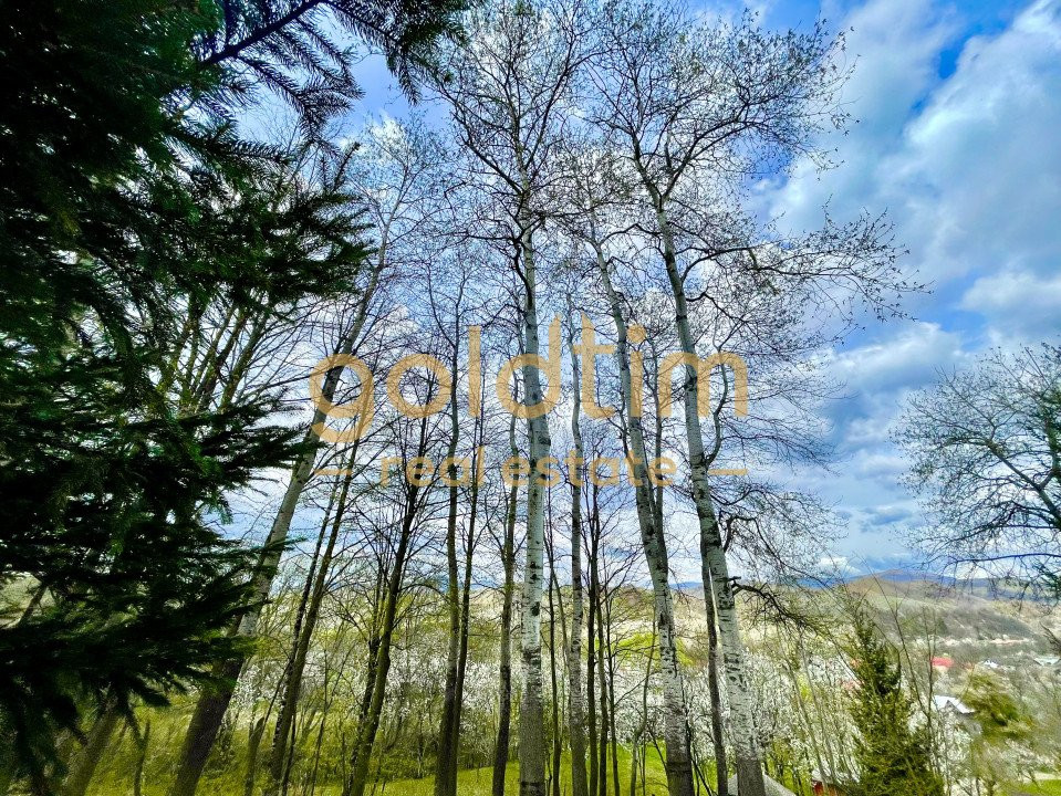 PARADIS/ VILA LA MUNTE/CERASU/ 1.30 min de BUCURESTI/ IDEAL INVESTITIE/ BOOKING