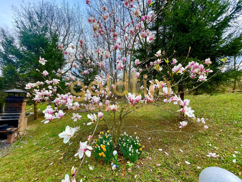 PARADIS/ VILA LA MUNTE/CERASU/ 1.30 min de BUCURESTI/ IDEAL INVESTITIE/ BOOKING