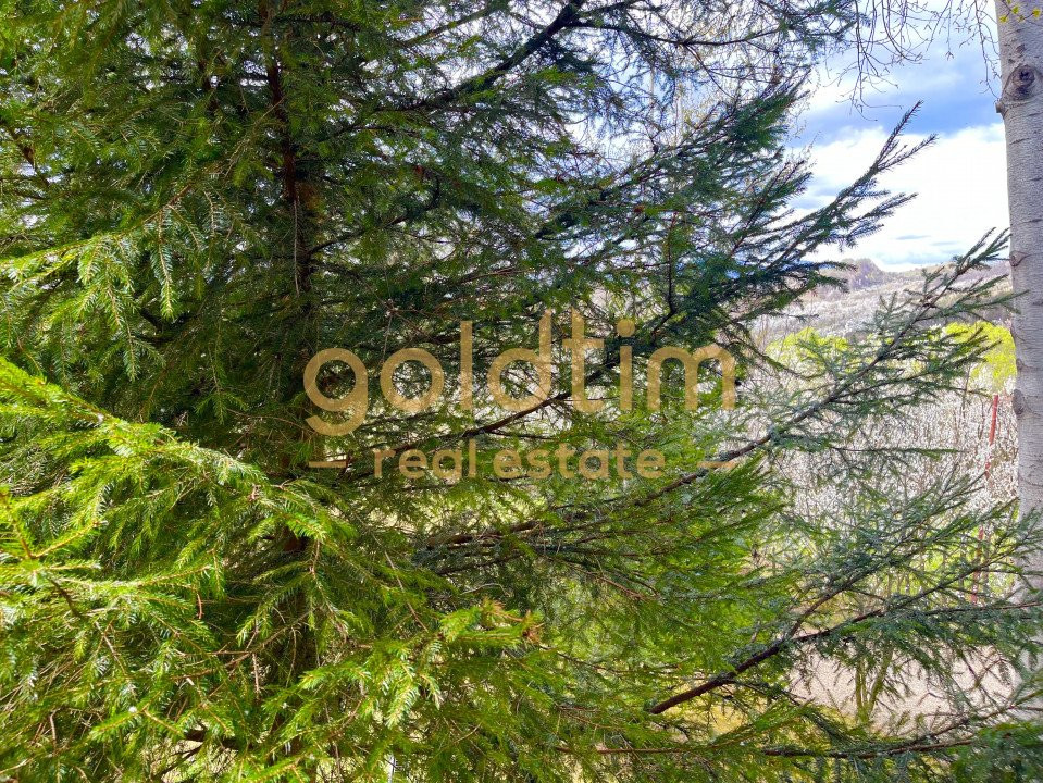 PARADIS/ VILA LA MUNTE/CERASU/ 1.30 min de BUCURESTI/ IDEAL INVESTITIE/ BOOKING