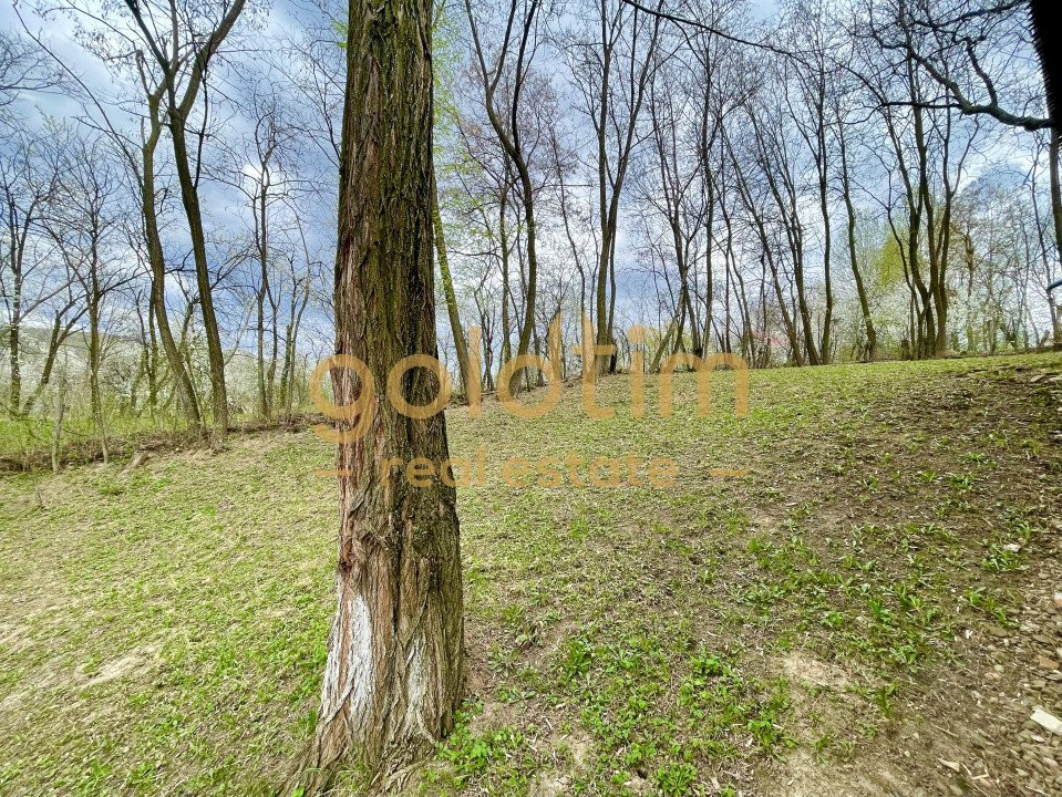 PARADIS/ VILA LA MUNTE/CERASU/ 1.30 min de BUCURESTI/ IDEAL INVESTITIE/ BOOKING