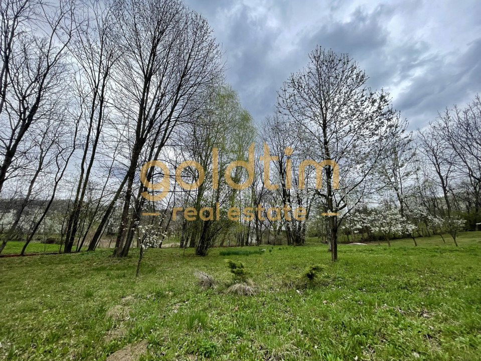 PARADIS/ VILA LA MUNTE/CERASU/ 1.30 min de BUCURESTI/ IDEAL INVESTITIE/ BOOKING