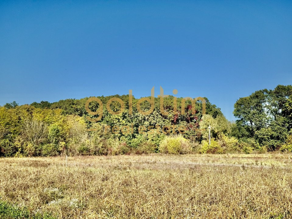 ZONA SUPERBA/ LANGA PADURE SI LAC