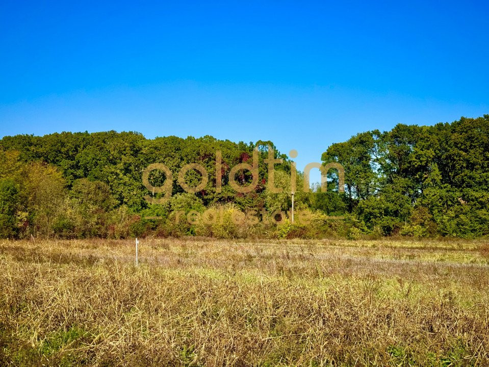 ZONA SUPERBA/ LANGA PADURE SI LAC