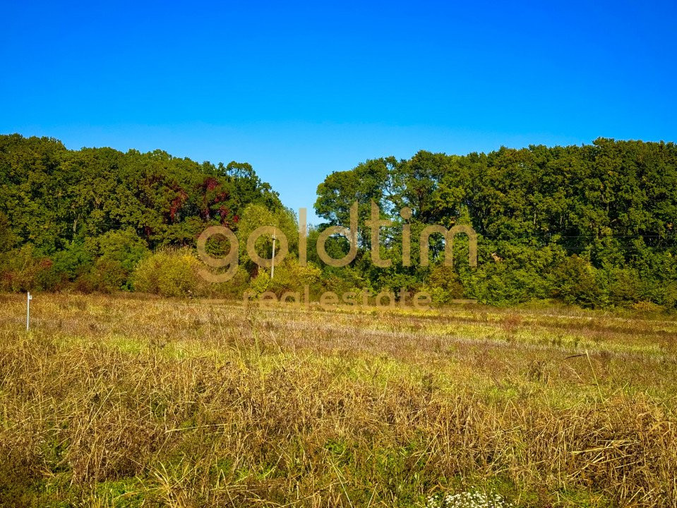 ZONA SUPERBA/ LANGA PADURE SI LAC