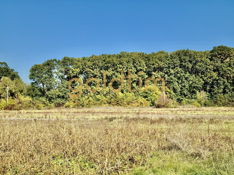 ZONA SUPERBA/ LANGA PADURE SI LAC