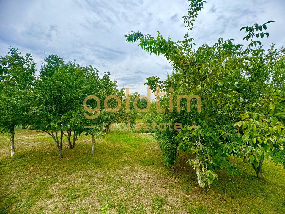 NOU/ SUPERB/ LUMINOS/ SPATII DEPOZITARE