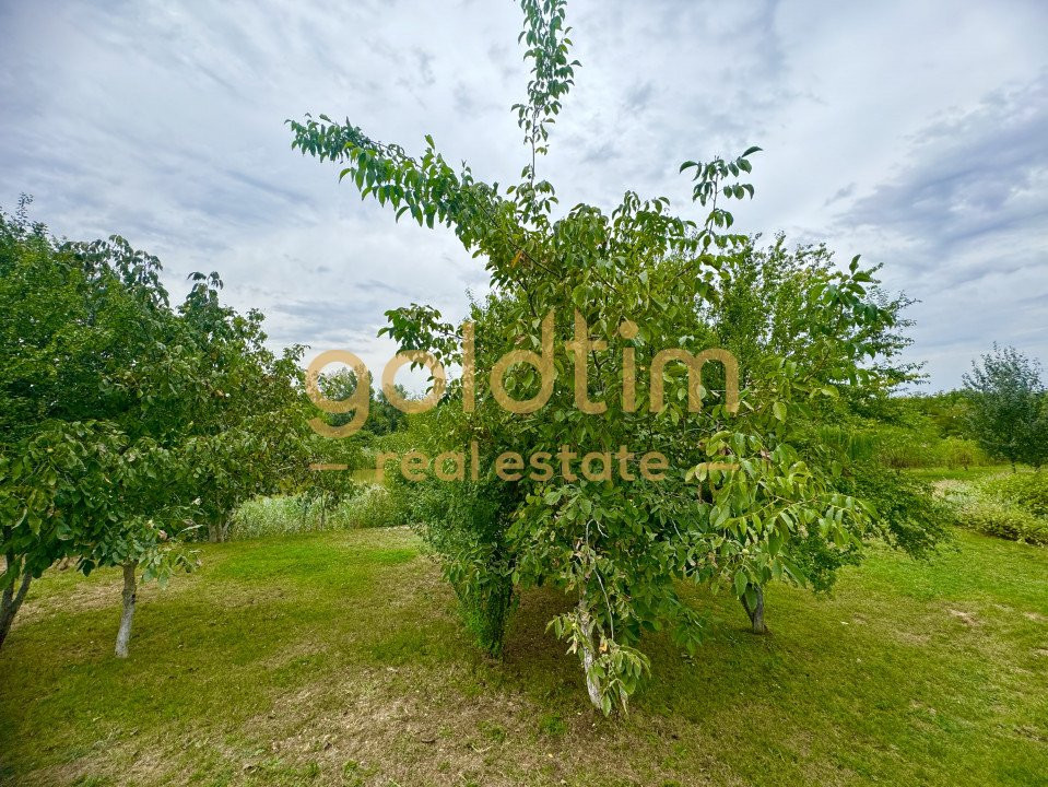 NOU/ SUPERB/ LUMINOS/ SPATII DEPOZITARE