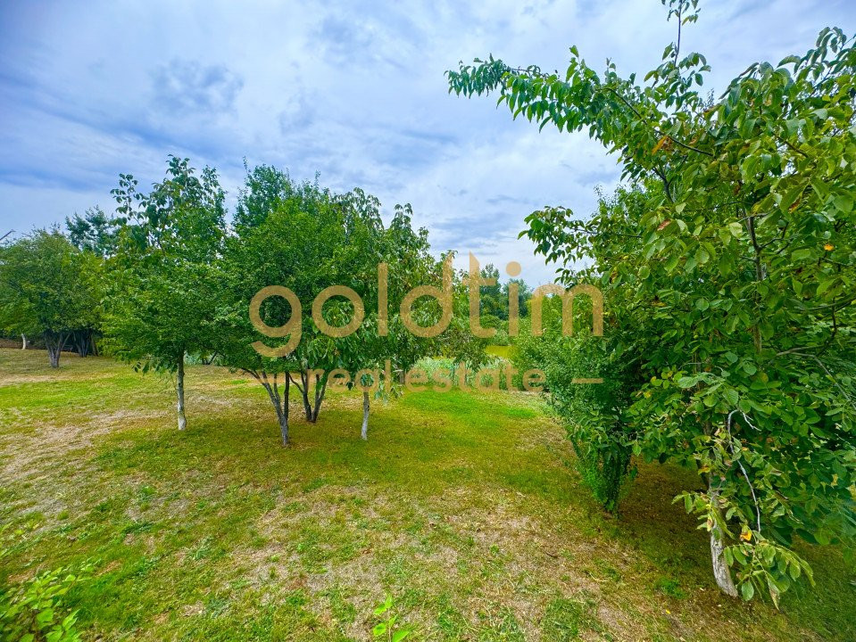 NOU/ SUPERB/ LUMINOS/ SPATII DEPOZITARE