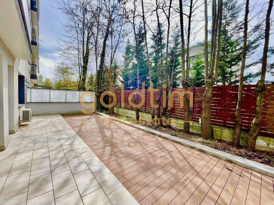 EROU IANCU NICOLAE /PIPERA