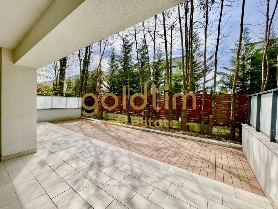 EROU IANCU NICOLAE /PIPERA