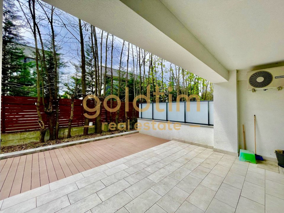 EROU IANCU NICOLAE /PIPERA