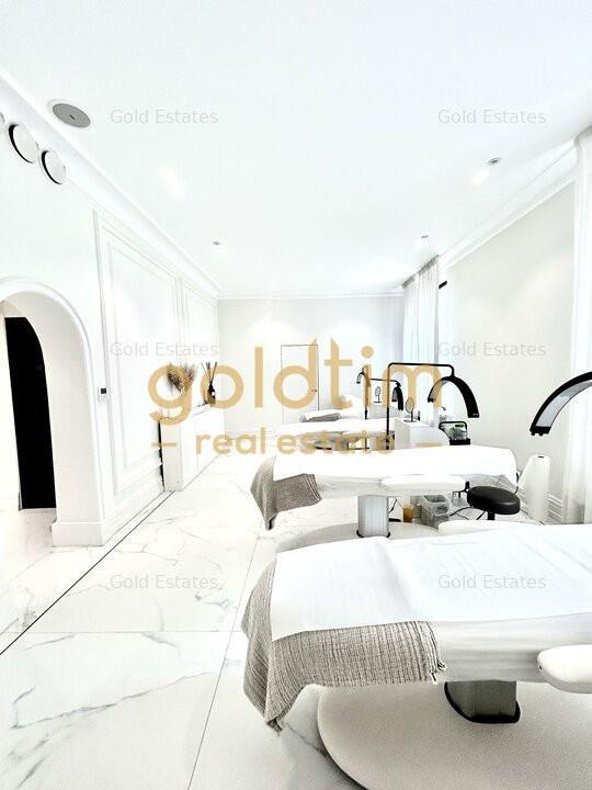 VILA STIL ECLECTIC SUPERBISIMA/RENOVATA/FINISJAE SI DOTARI PREMIUM/ARMENEASCA