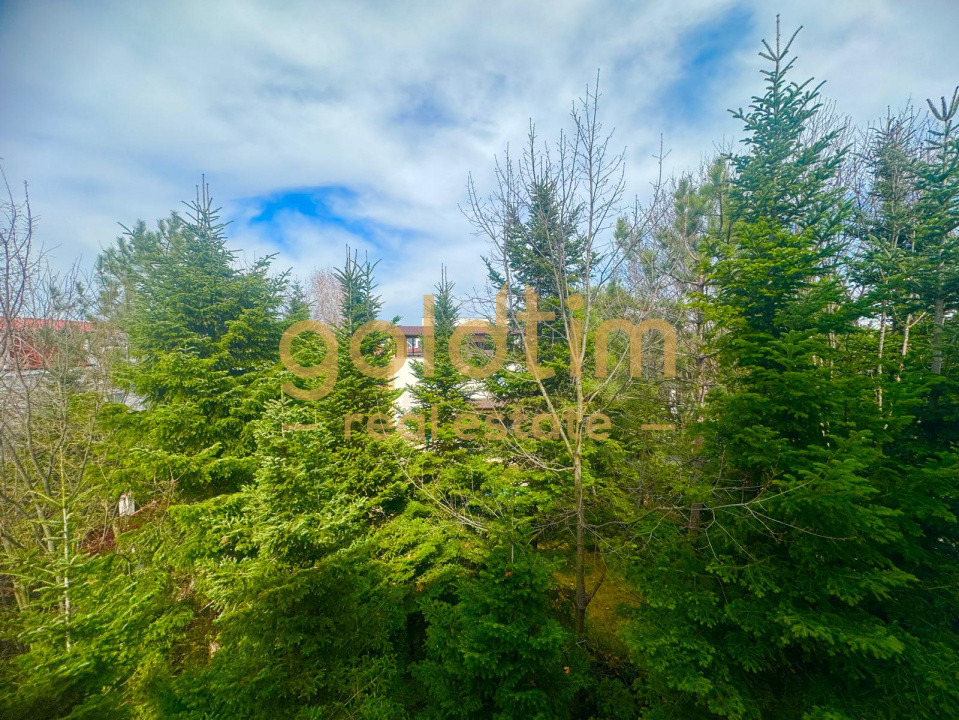 PISCINA/SAUNA/SALA FITNESS/IANCU NICOLAE/PIPERA/VILA INDIVIDUALA