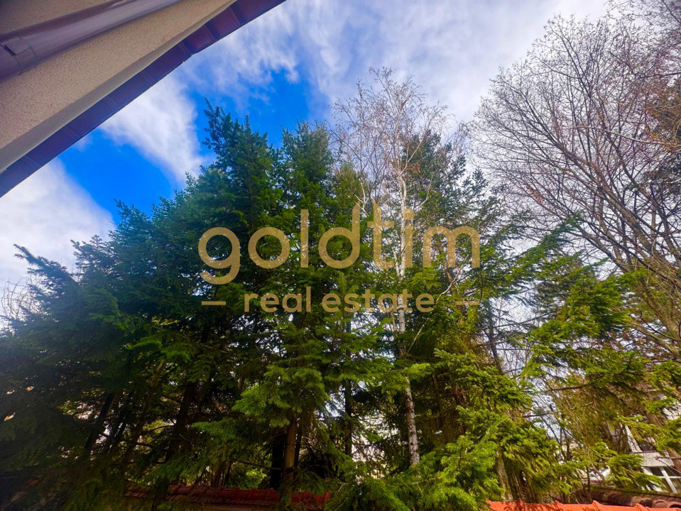 PISCINA/SAUNA/SALA FITNESS/IANCU NICOLAE/PIPERA/VILA INDIVIDUALA