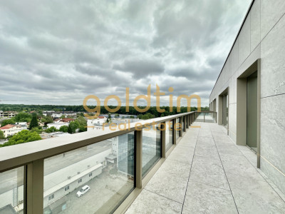 EROU IANCU NICOLAE/VIEW PANORAMIC /SUPERB 