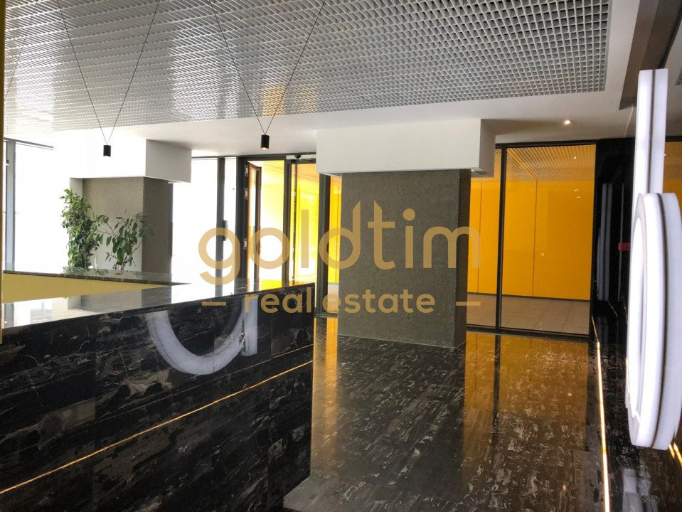 SUPERB/VIEW/SPATII GENEROASE/BANEASA