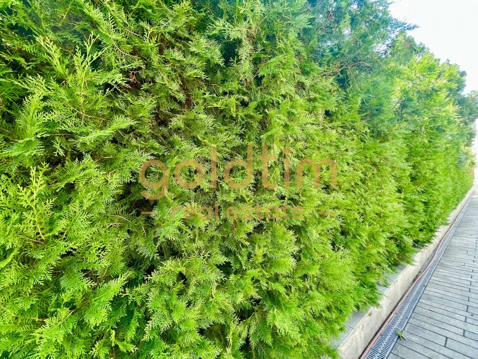 NOU/ PRIVELISTE/ LINISTE/IANCU NICOLAE/ PARCARE SUBTERANA