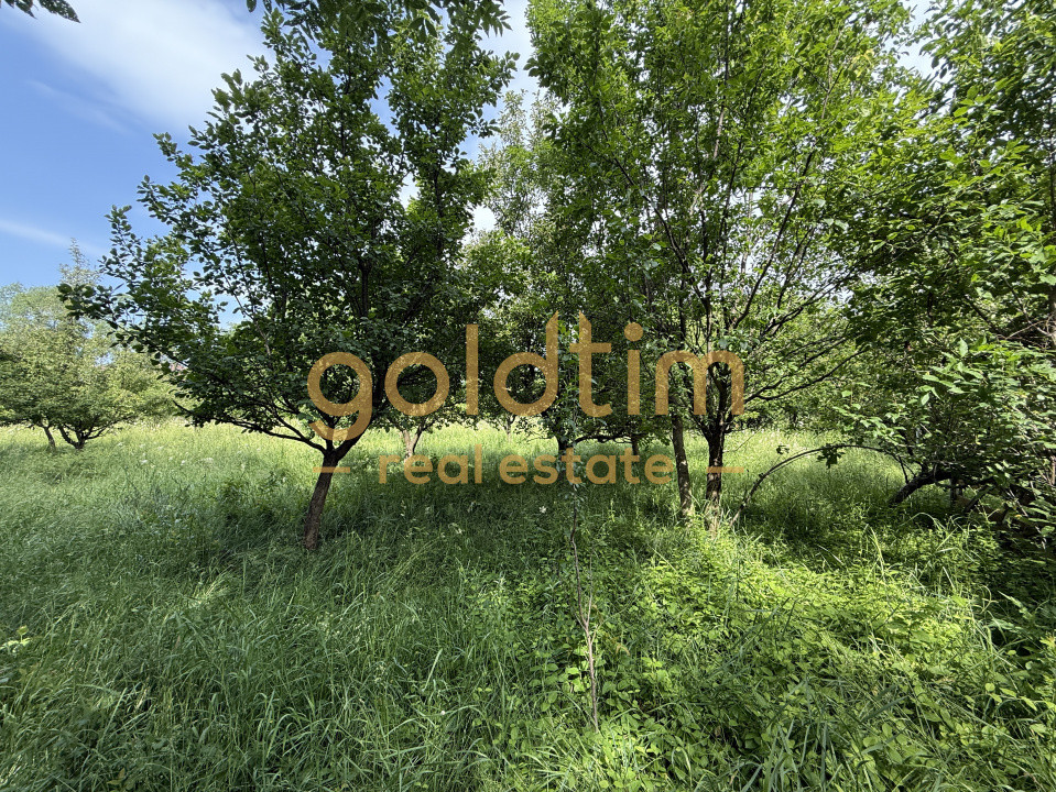 CASA IN ZONA LINISTITA/MOBILATA/UTILATA/TEREN IMPRESIONANT 5000MP/CORNU/PRAHOVA