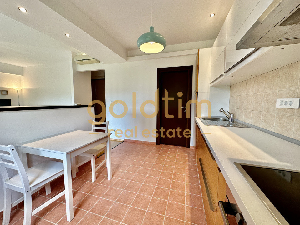 PET FRIENDLY/EROU IANCU NICOLAE /SPATII GENEROASE/ANSAMBLU SECURIZAT/PISCINA