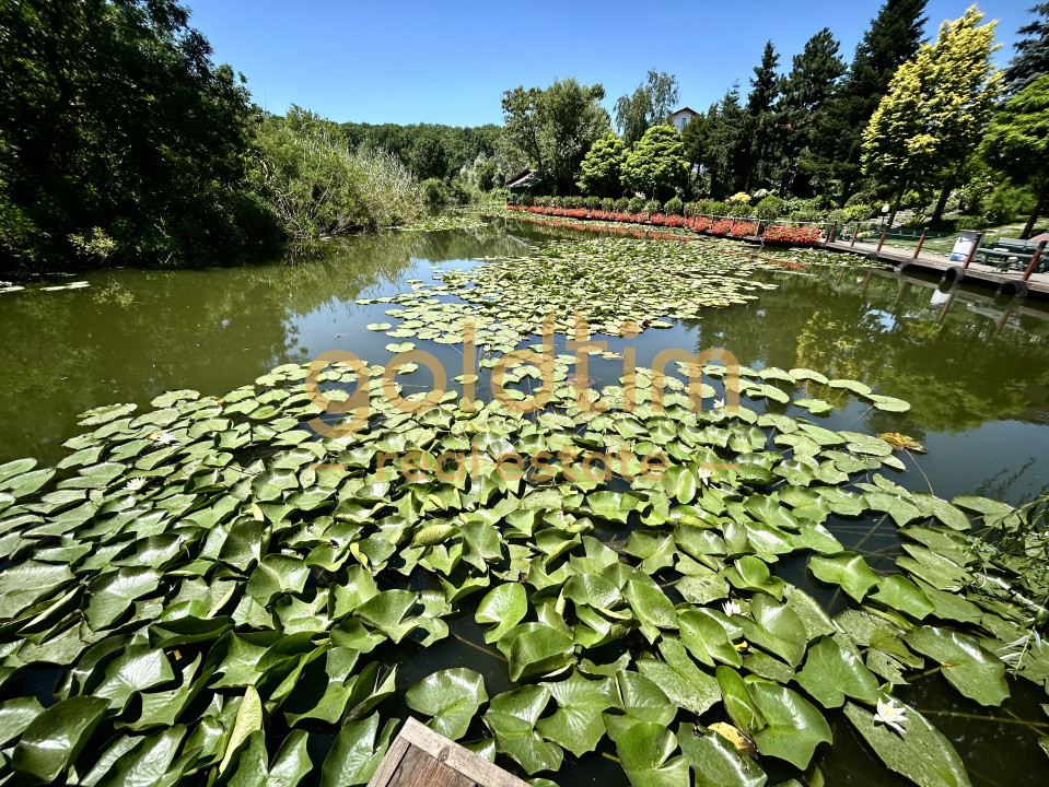 O VILA PERFECTA/IMPECABIL CONSTRUITA/4CAMERE 260MP/TEREN 1000MP/ACCES LAC-PADURE