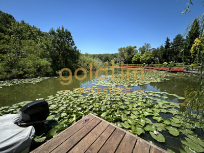 O VILA PERFECTA/IMPECABIL CONSTRUITA/4CAMERE 260MP/TEREN 1000MP/ACCES LAC-PADURE