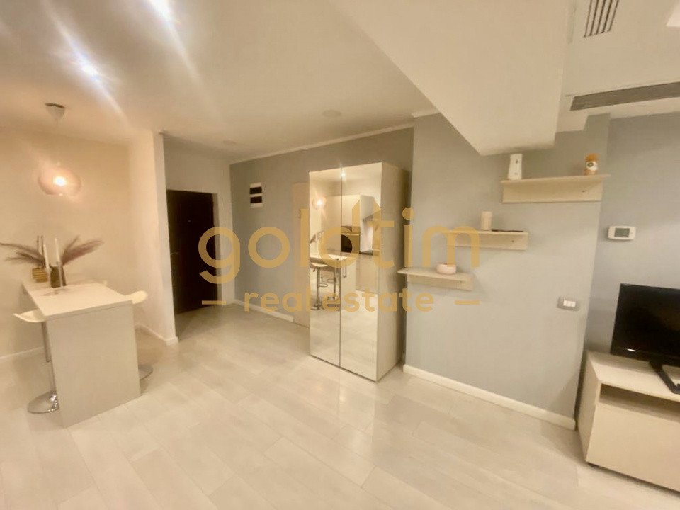 IDEAL INVESTIȚIE/HERASTRAU/CARTIERUL FRANCEZ/SPATII DEPOZITARE