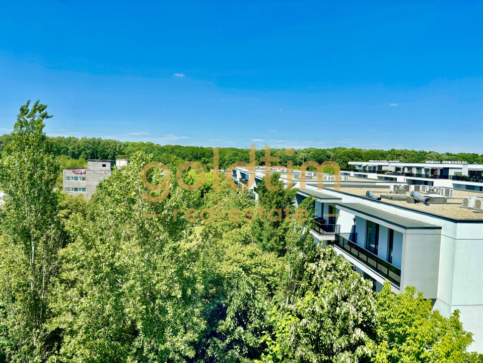 PIPERA/IANCU NICOLAE/LUMINOS/ZONA LINISTITA/VIEW SUPERB 