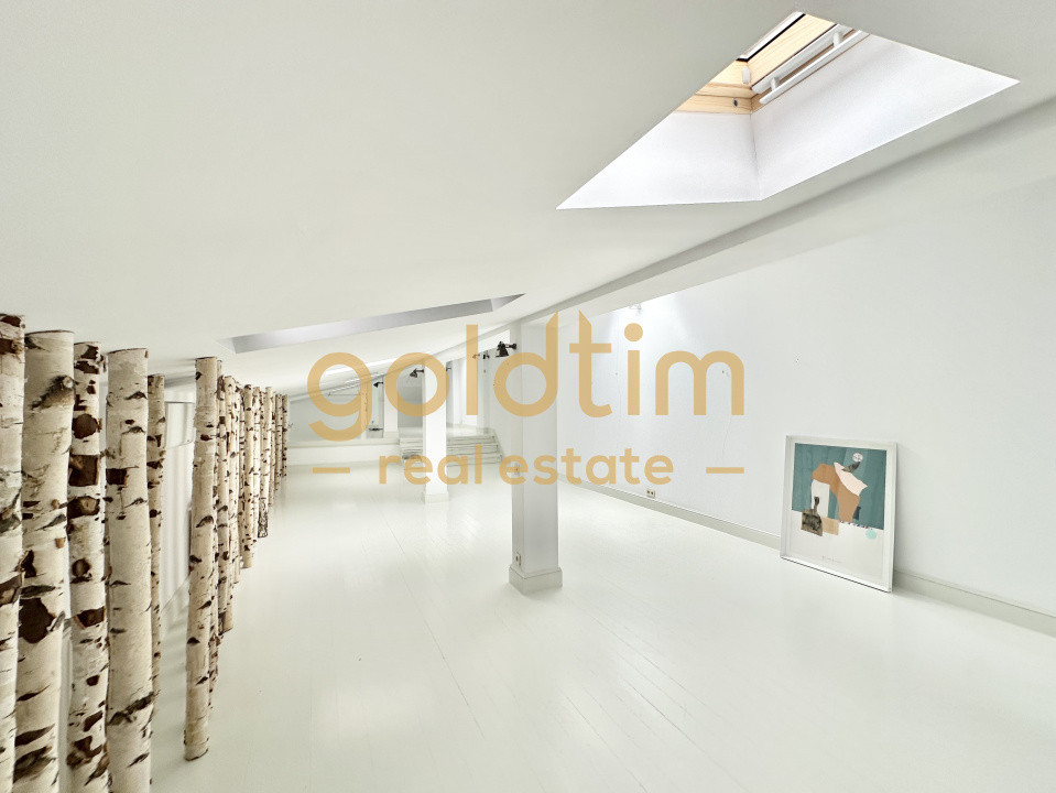 VILA INTERBELICA RENOVATA/CURTE/PRETABILA ACTIVITATI COMERCIALE/DOROBANTI