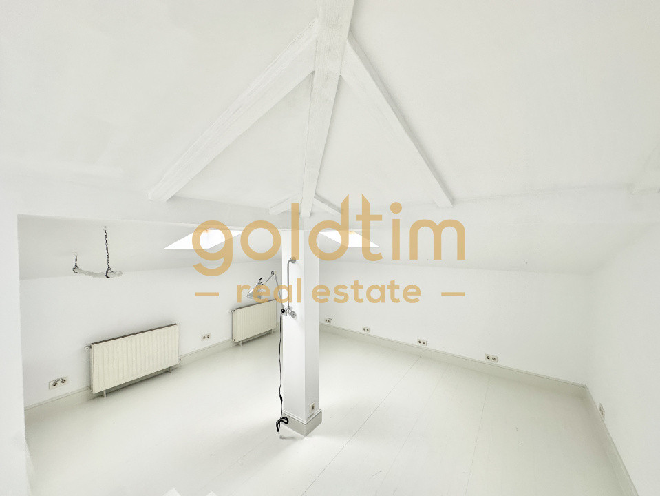 VILA INTERBELICA RENOVATA/ANEXA/CURTE/PRETABILA ACTIVITATI COMERCIALE/DOROBANTI