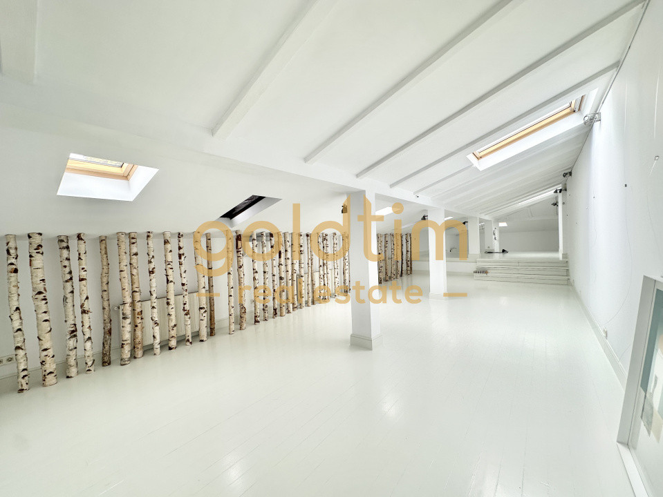 VILA INTERBELICA RENOVATA/ANEXA/CURTE/PRETABILA ACTIVITATI COMERCIALE/DOROBANTI