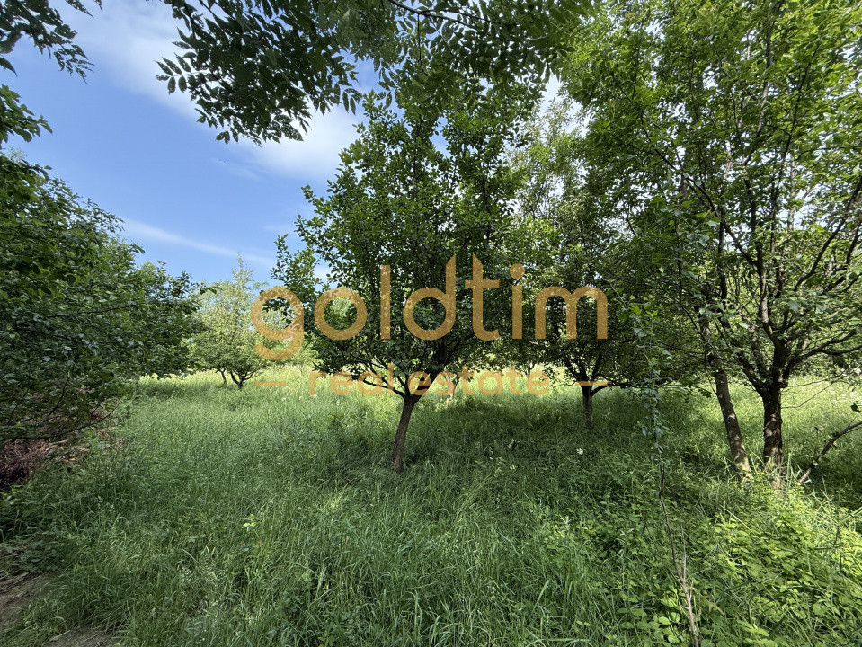 CASA IN ZONA LINISTITA/MOBILATA/UTILATA/TEREN IMPRESIONANT 5000MP/CORNU/PRAHOVA