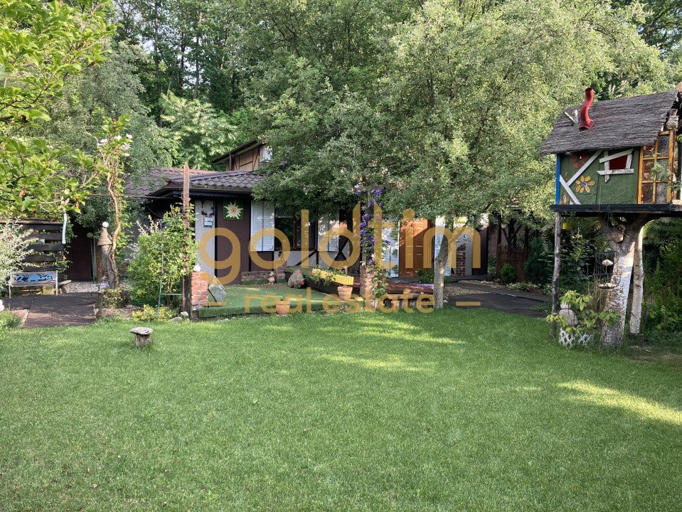 CASA DE POVESTE IN MIJLOCUL PADURII/PEISAJ IDILIC/MOGOSOAIA