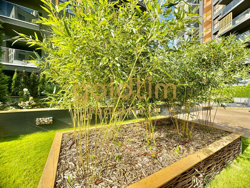 PARCULUI 20/EXPOZITIEI/BANEASA/SUPERB/TERASA GENEROASA/PARCARE INCUSA