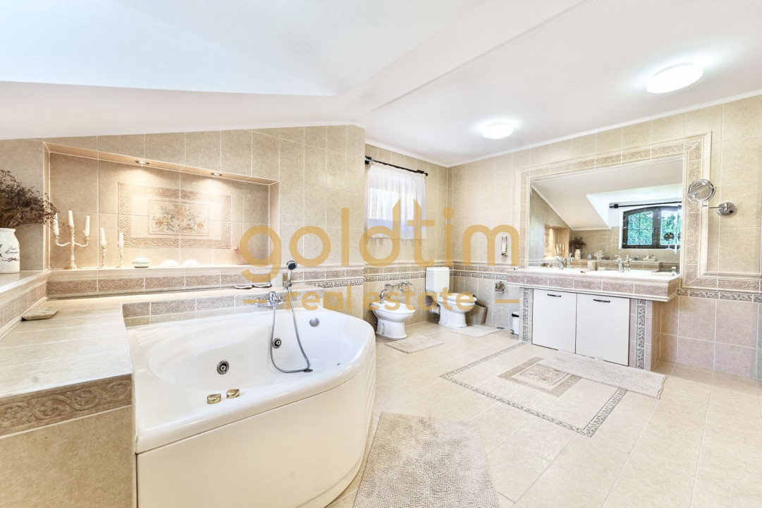 VILA IMPRESIONANTA/LUX/CURTE/GRADINA/PISCINA/GARAJ/IANCU NICOLAE