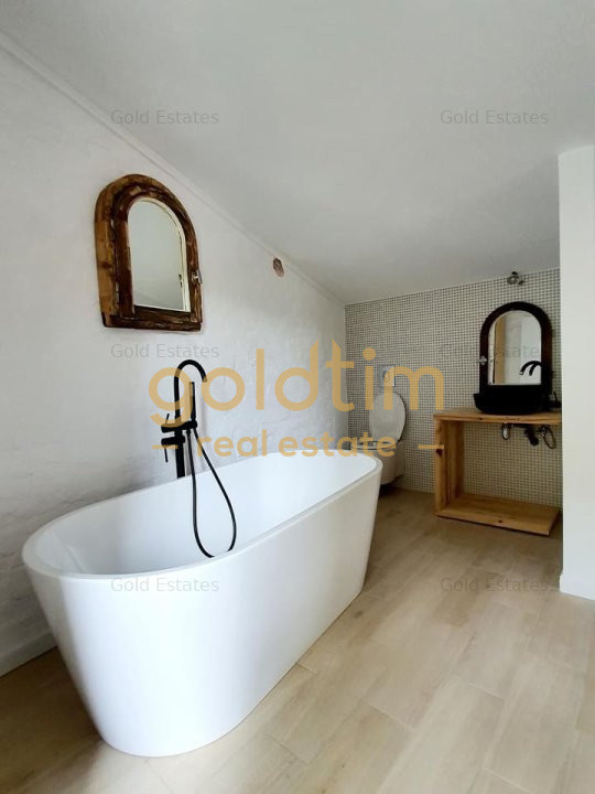 Cea mai spectaculoasa casa cu cu gradina si interior de poveste/ Gradina Icoanei