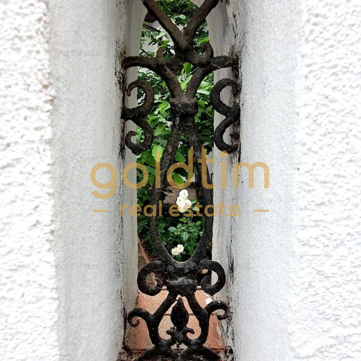 Cea mai spectaculoasa casa cu cu gradina si interior de poveste/ Gradina Icoanei