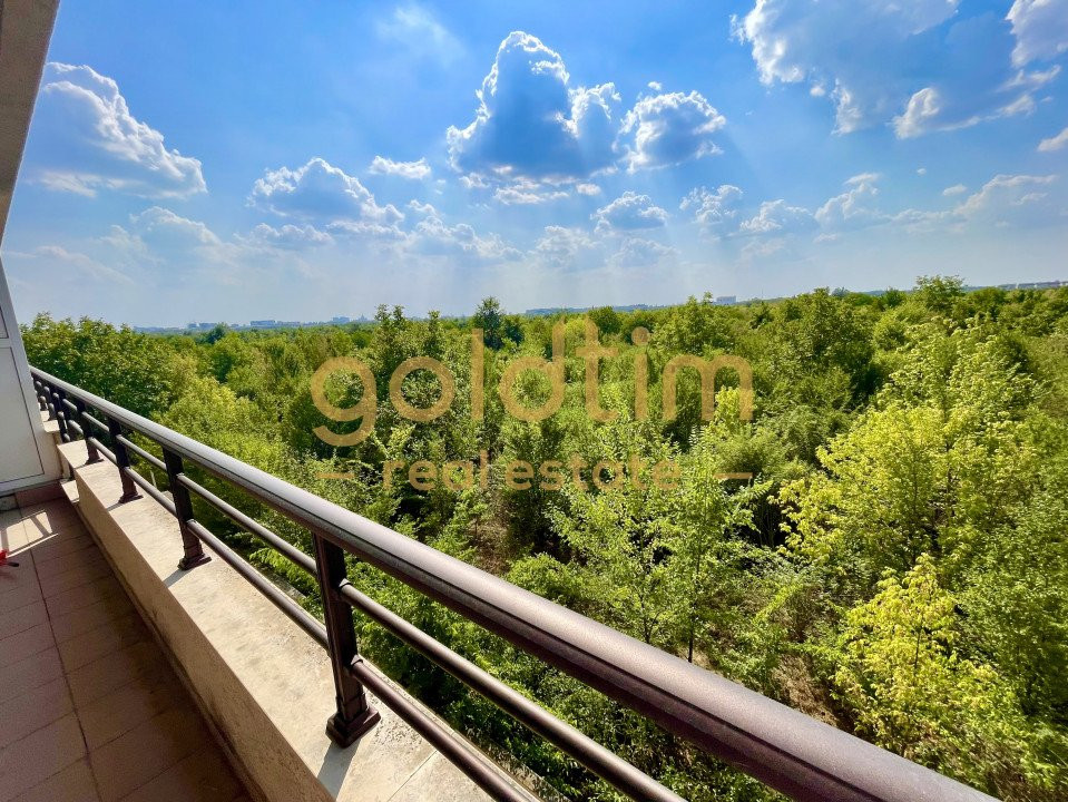 PRIVELISTE SUPERBA/ IANCU NICOLAE/ SPATII DEPOZITARE