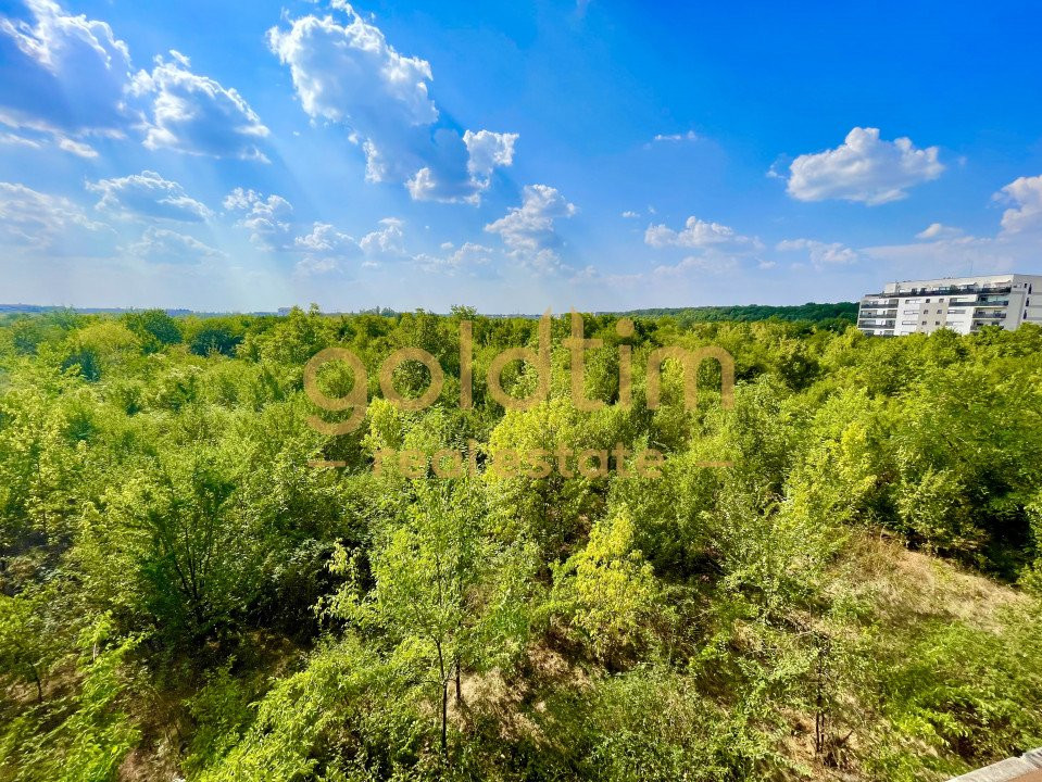 PRIVELISTE SUPERBA/ IANCU NICOLAE/ SPATII DEPOZITARE