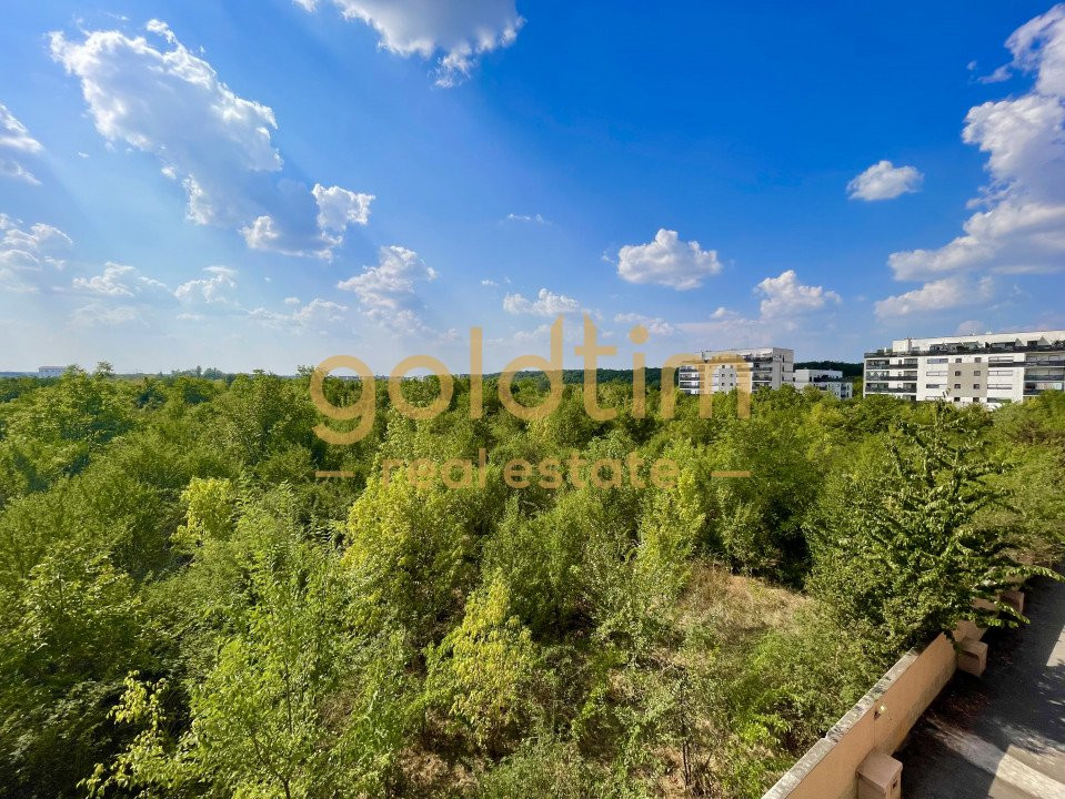 PRIVELISTE SUPERBA/ IANCU NICOLAE/ SPATII DEPOZITARE