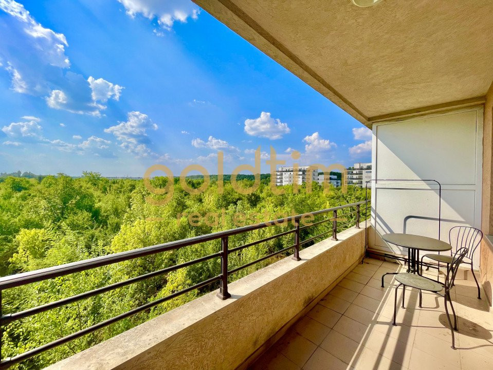 PRIVELISTE SUPERBA/ IANCU NICOLAE/ SPATII DEPOZITARE